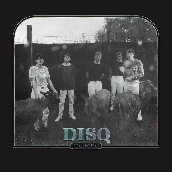 Disq - Collector - Music & Performance - Vinyl