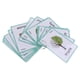 thumbnail image 1 of Set De 23 s De Pabras De s Primeras Pabras Juego Educativo Educativo Actividad De s Divertidas, árboles Árboles - 23 piezas Sunnimix tarjetas flash de palabras, 1 of 8
