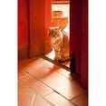 thumbnail image 3 of Millet, Karyn 11x14 Black Modern Framed Museum Art Print Titled - In the Sun, 3 of 5