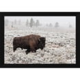 thumbnail image 2 of Forms 18x13 Black Modern Wood Framed Wall Art Titled - Late Fall Yellowstone, 2 of 6