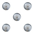 thumbnail image 3 of maskred Resin Crystal Ball Timeless Addition To Collection Crystal Ball With Flower Dandelions 8cm 5Set, 3 of 6
