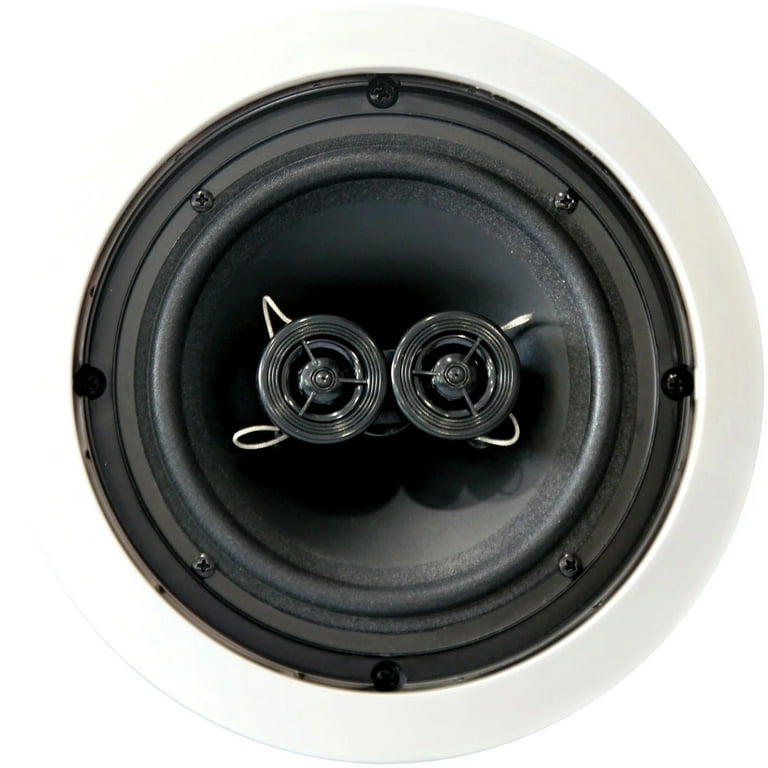 Dual voice hotsell coil ceiling speaker