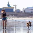 thumbnail image 4 of Correa retráctil para perros Sailing Correa de nailon a prueba de masticar verde, 4 of 4