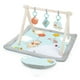 thumbnail image 1 of Gym Bright Starts Disney Winnie The Pooh Once Upon A Tummy, 1 of 10