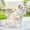 Style A, variant on Tunhigl Floral Pet Dress for Cats Dogs Summer Breathable Mesh Outfit Soft Lightweight Cute Design for Small Pets Daily Walks Beach Days Birthday Gift