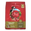 Purina ONE Dry Dog Food Lamb and Rice Formula 8 lb. Bag