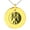 Gold, variant on Stainless Steel Janus Greek God of Beginnings Engraved Small Medallion Circle Charm Pendant Necklace