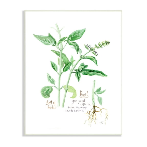 Stupell Industries Basil Plant Best Of Herbs Watercolor Garden Greens Food & Beverage Painting Unframed Art Print Wall Art, 10 x 15