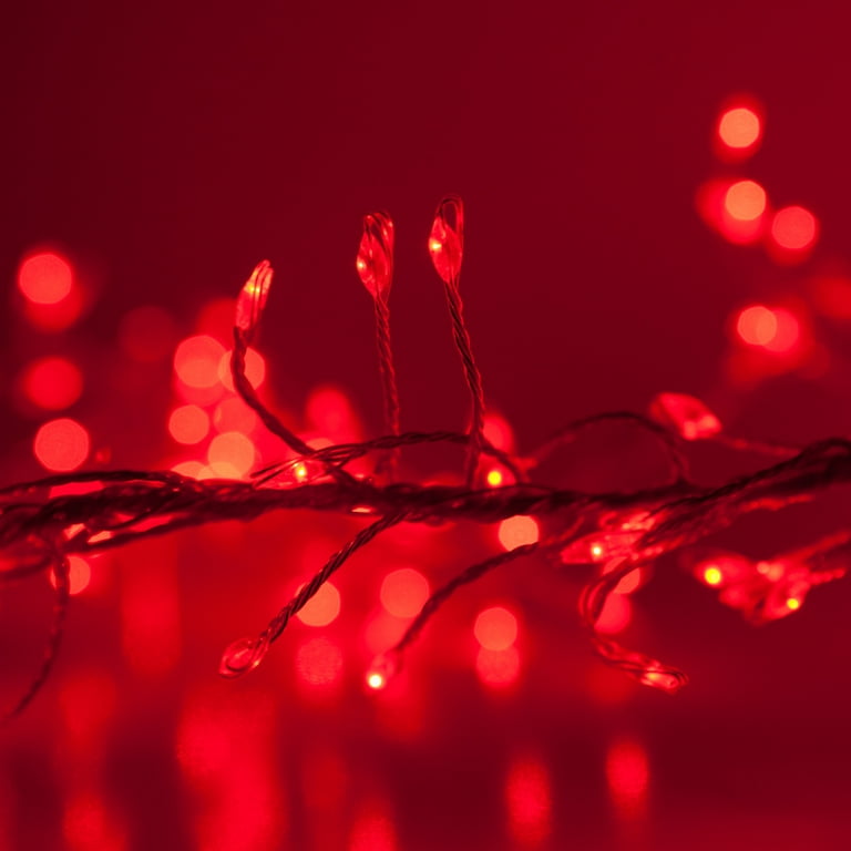 Wintergreen Lighting Red LED Outdoor Fairy String Lights Silver Wire
