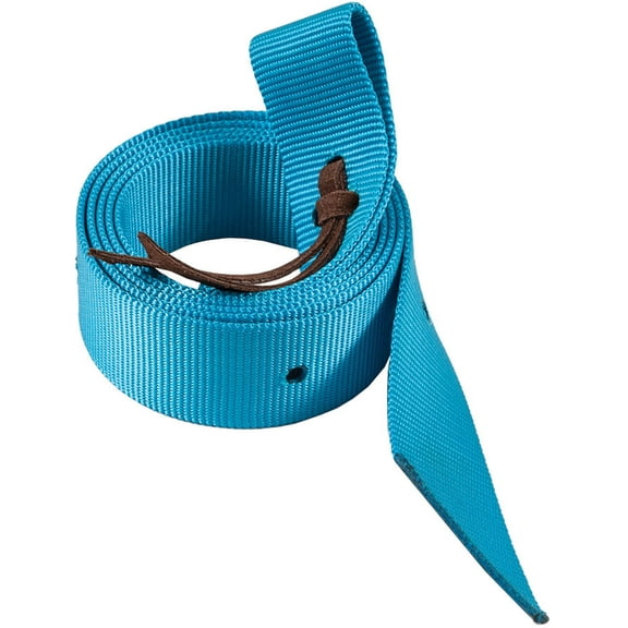 Mustang Neonz Nylon Tie Strap Turquoise 6'
