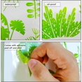 thumbnail image 5 of Pegatinas de pared y ventana de doble cara con plantas verdes, decoración extraíble para sala de estar, dormitorio, cafetería, 5 of 5