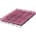 thumbnail image 6 of Internet's Best Double Door Steel Dog Kennel - Small 24" - Pink, 6 of 9