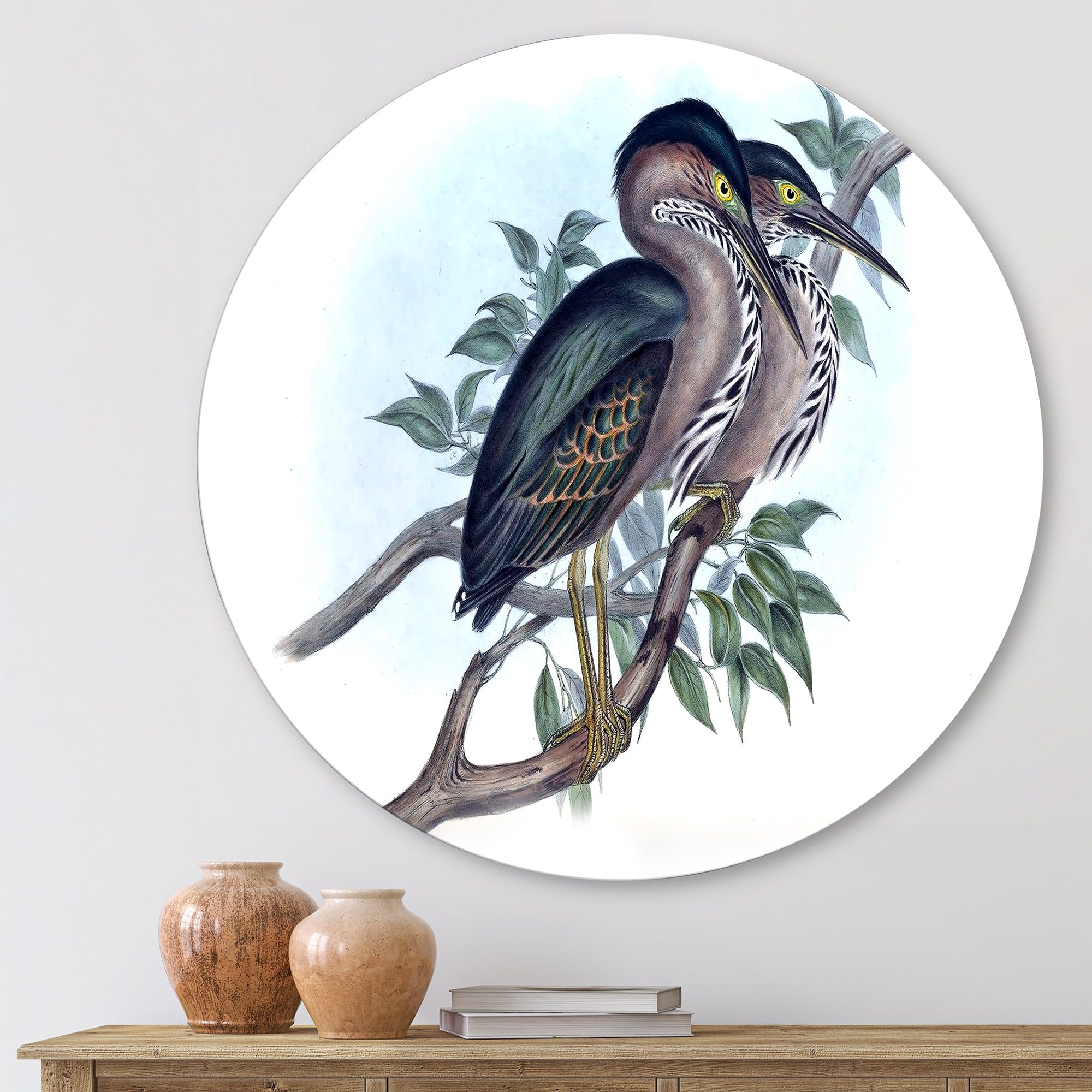 Designart 'Ancient Australian Birds VII' Traditional Circle Metal Wall Art 23x23 - Disc of 23