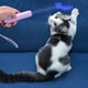 thumbnail image 3 of Suministros para Gatos Láser para Gatos para Gatos Ratón Pez Patas Gato Bolígrafo Proyector (púrpura), 3 of 9