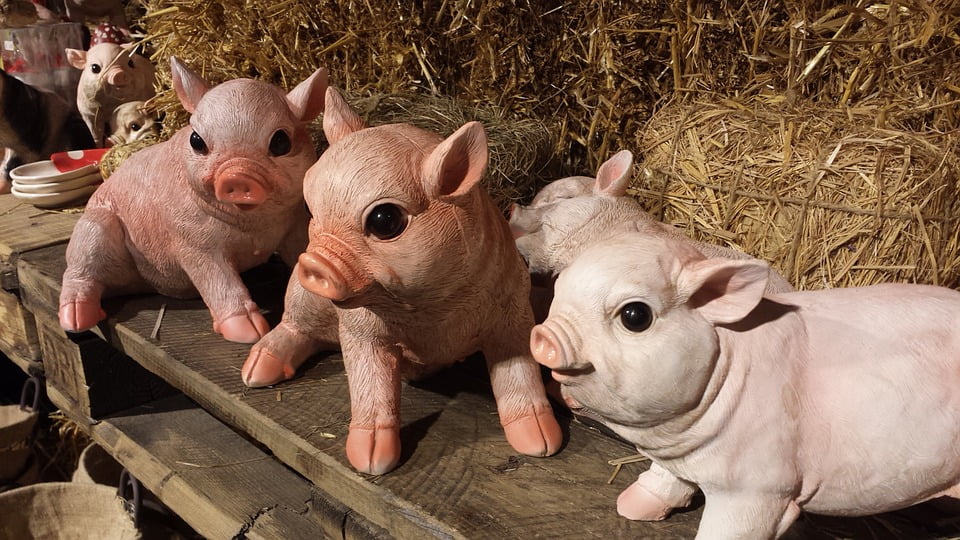 Sylvester Pigs New Year's Eve Lucky Pig Lucky Charm20 Inch By 30 Inch