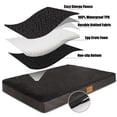thumbnail image 6 of Exclusivo Mezcla Orthopedic Pet Bed for Medium Dogs, 36"X24" Black Dog Beds, Removable Washable Cover, 6 of 7