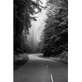 thumbnail image 2 of Highsmith, Carol 23x32 Gold Ornate Wood Framed with Double Matting Museum Art Print Titled - Redwood National and State Park on U.S. 101 California, 2 of 4