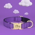 thumbnail image 5 of Pet Artist Personalized Durable Nylon Dog Collars Soft Padded Waterproof Name Number Engraved Metal Buckle for Small/Medium/Large Breeds, 5 of 10