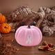 thumbnail image 4 of Thanksgiving And Halloween Charity Pumpkin Ornament, 4 of 6