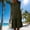 Dresses-698Army Green, variant on Casual Dresses for Women Ruffle Cap Sleeve Round Neck Summer Dresses Cute Shift Dress Solid Drop Waist Frill Hem Loose Fit Daily Vacation Work