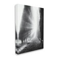 thumbnail image 4 of Stupell Industries Sun Rays & Hedge Grove Landscape Photography Gallery Wrapped Canvas Art Print Wall Art, 16 x 20, 4 of 8