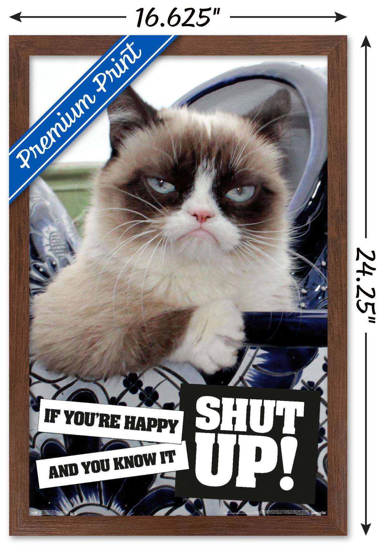 Grumpy Cat - Shut Up Wall Poster, 14.725" x 22.375", Framed