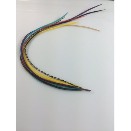 8 Feathers in Total 7-10 in Length Happy Rainbow Mix Feathers Bonded At the Tip for Hair Extension Salon Quality