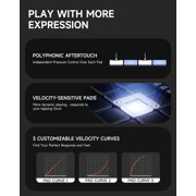 Donner STARRYPAD PRO MIDI Pad Controller for Beat Making, 16 Velocity-Sensitive Drum Pads, 8 Assignable Knobs, USB-C & MIDI I/O, Music Production Software Included, Black