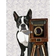 thumbnail image 2 of Fab Funky 20x24 White Modern Wood Framed Museum Art Print Titled - Boston Terrier Photographer, 2 of 4