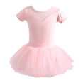 thumbnail image 3 of Zecgelong Girls Dance Dresses Performance Tutu Outfit Short Sleeve Leotard Skirt Set For Ballet Jazz Recital Practice Ages 1 14 Years Toddler Kids Girls Dresses Size 18-24 Months Pink, 3 of 3
