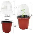 thumbnail image 6 of ‎TACYKIBD Transparent Nursery Pots 4Inch with Humidity Domes for Seeds Starting, Clear Plastic Plant Pots with Drainage Holes (4Inch, 30Pcs,Clear Pots with Lids), 6 of 10