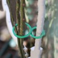 thumbnail image 4 of 100 Pcs Clip de Plante de Jardin Réutilisable Fruits Tomate Vigne Support de Croissance Sangles, 4 of 9