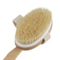 thumbnail image 3 of Juvale 2-Pack Detachable Dry Brushing Body Brush - Long Handle Back Brush for Showering and Dry Brushing, 16.9 Inches, 3 of 10