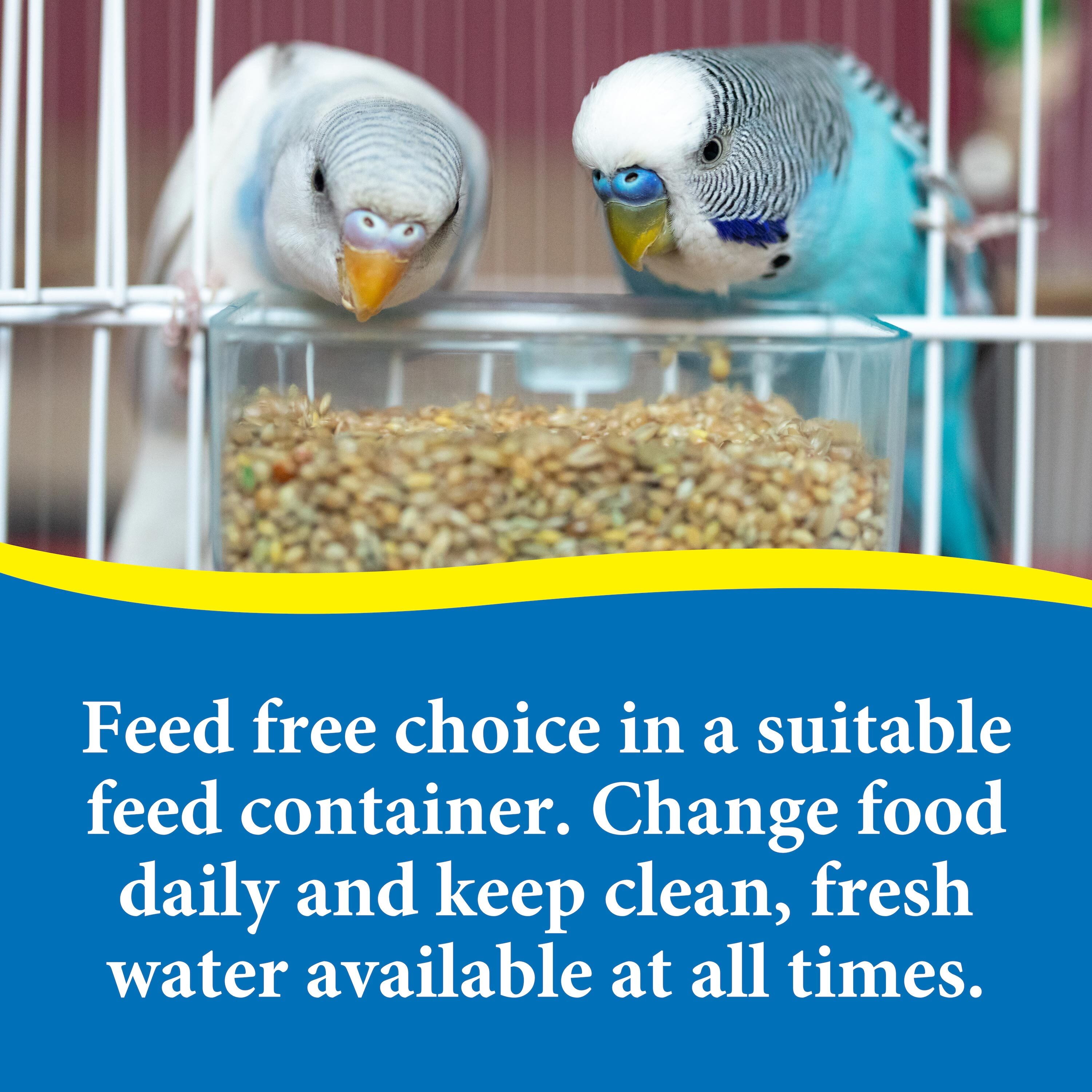parakeet bird food walmart