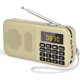 thumbnail image 1 of Radio portátil ZHAOCHENG FM batería recargable 3000 mAh dorada, 1 of 5