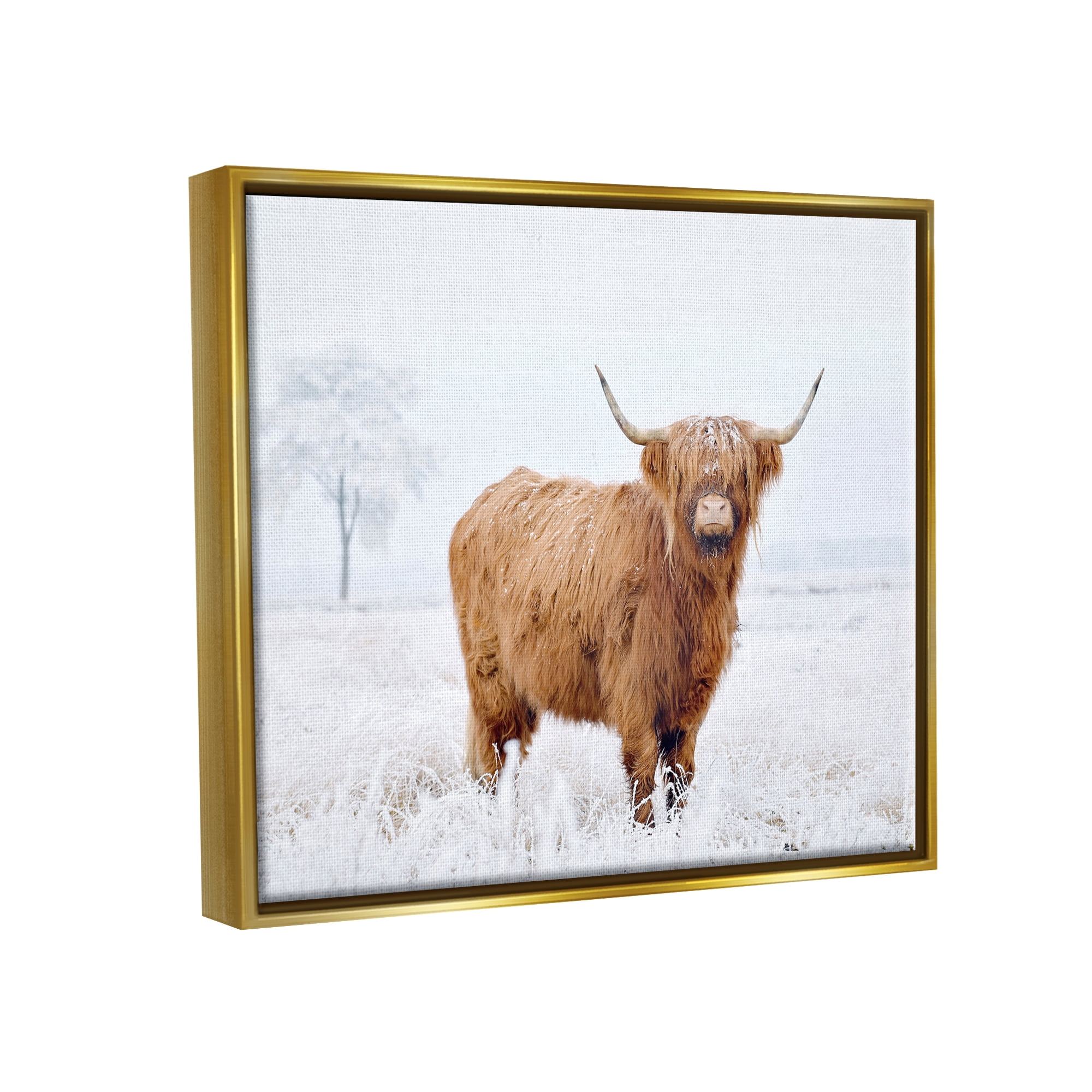 Stupell Industries Highland Cow in Snow Animals & Insects Photography Gold Floater Framed Canvas Art Print Wall Art, 21 x 17