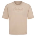 thumbnail image 2 of Men's Levelwear Khaki St. Louis Cardinals Ethereal Oversized Luxe Signature Knit T-Shirt, 2 of 3