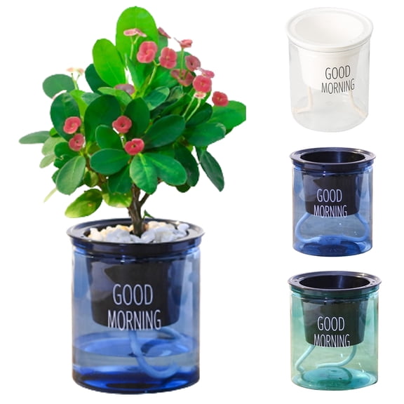 Bobasndm 3 Pack 4 Inch Clear Planter Pots, Large African Violet Plastic Pots, Absorbent Pots for Indoor Plants, Herbs, African Violet, Ocean Spider Plant, Orchid Planter, Clear