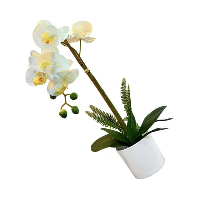 Bewildely Sin flores artificiales marchitas para una belleza duradera en cualquier entorno Bonsái artificial hipoalergénico Decoración del hogar BF2312085