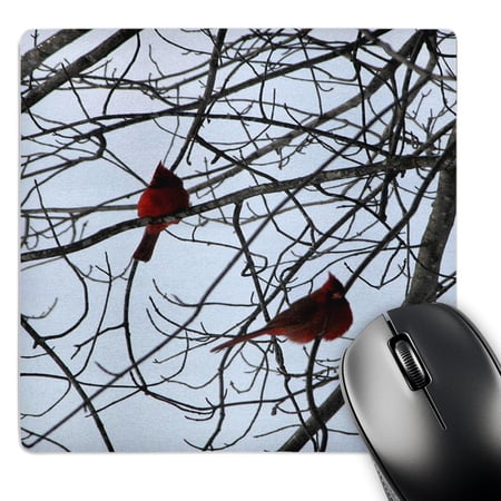 3dRose  Two Cardinals  MousePad price history on PriceWatchPro