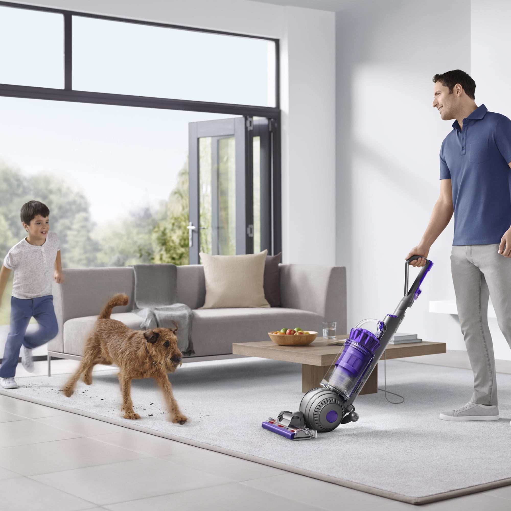 Dyson Ball Animal Origin Upright Vacuum Cleaner for Pet Allergen