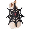 thumbnail image 1 of Arañas Disfraz para mascotas Disfraz de araña de Halloween Perros Decoraciones para gatos Disfraces para mascotas Ropa para perros festivos Disfraz de carnaval Un disfraz para mascotas de telaraña (M) JM, 1 of 5