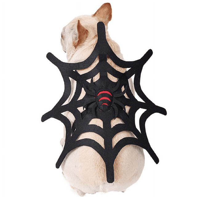 Arañas Disfraz para mascotas Disfraz de araña de Halloween Perros Decoraciones para gatos Disfraces para mascotas Ropa para perros festivos Disfraz de carnaval Un disfraz para mascotas de telaraña (M) JM