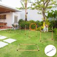 thumbnail image 2 of PawHut 4PC Portable Pet Agility Training Set Hurdle for Dog Obstacle Exercise with Adjustable Height Jump Ring High Jumper Weave Poles Square Pause Box Carry Bag Whistle Orange and White, 2 of 9