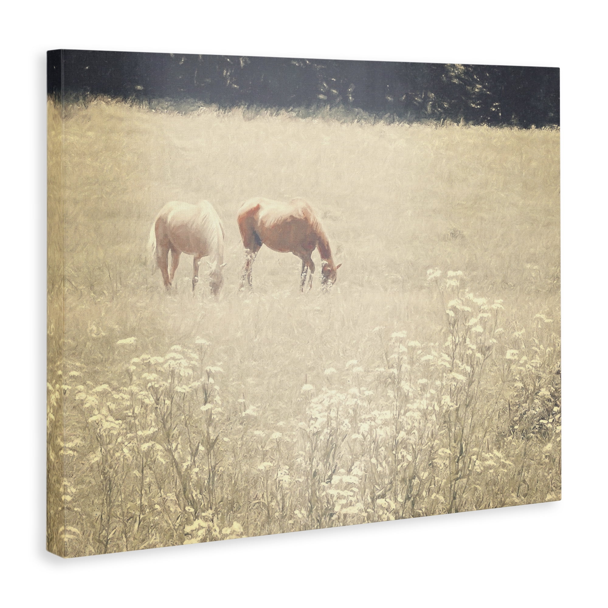 Stupell Industries Pair of Horses Grazing Landscape & Nature Photography Wrapped Canvas Art Print Wall Art, 30 x 24