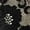 Black, variant on Women's Sheer Floral Lace Crop Cami Elegant Spaghetti Strap V-Neck Scalloped Trim Lace Bralette Top for Casual & Partywear Beige