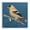 Traditional Yellow Bird Cabin Lodge, variant on Stupell Industries Bohemian Bird with Forest Nature Black Floating Frame Canvas Art, 18 x 18, by RB