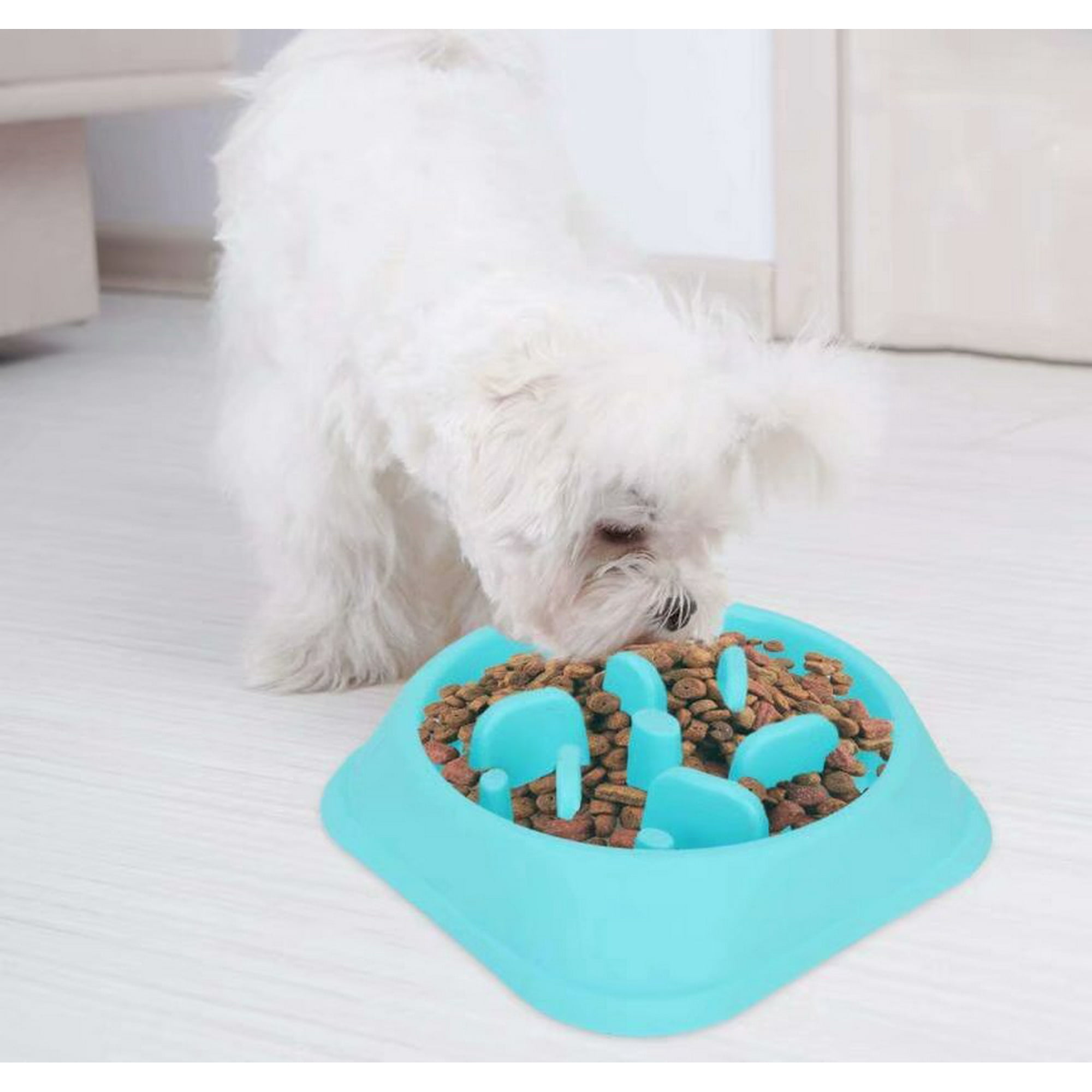 Dog puzzle food bowl online