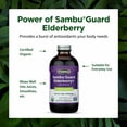 thumbnail image 3 of (Pack Of 6) Flora Health Elderberry Immune Booster Organic 8.5 Oz, 3 of 7