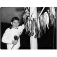 thumbnail image 1 of Cuadro Decorativo - Retro Boy Big Catch, 1 of 3